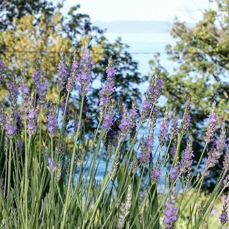 Lucija 4* Kraljevica